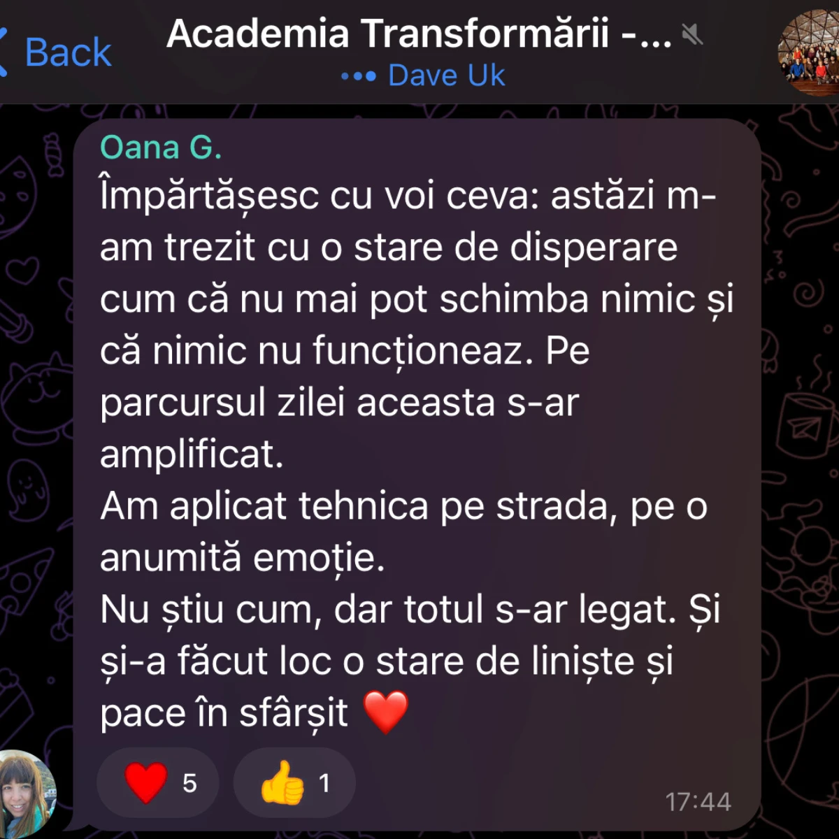 optimized-Untitled design (11)